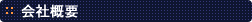 ЊTv